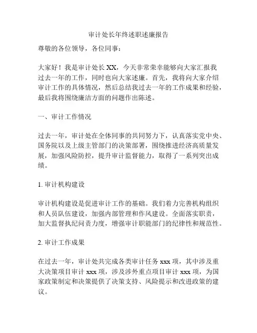 审计处长年终述职述廉报告