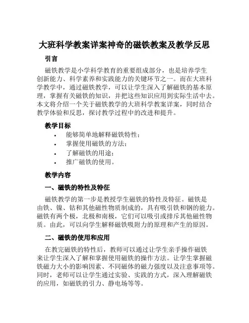 大班科学教案详案神奇的磁铁教案及教学反思