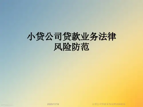 小贷公司贷款业务法律风险防范