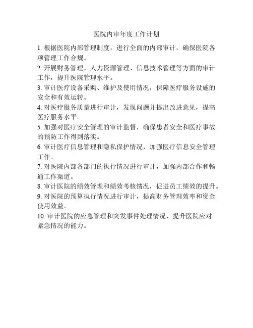 医院内审年度工作计划