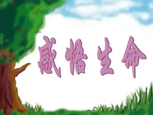 2.1 感悟生命 课件3  湘教版八年级上册