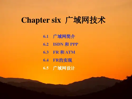 6.5.1 广域网设计