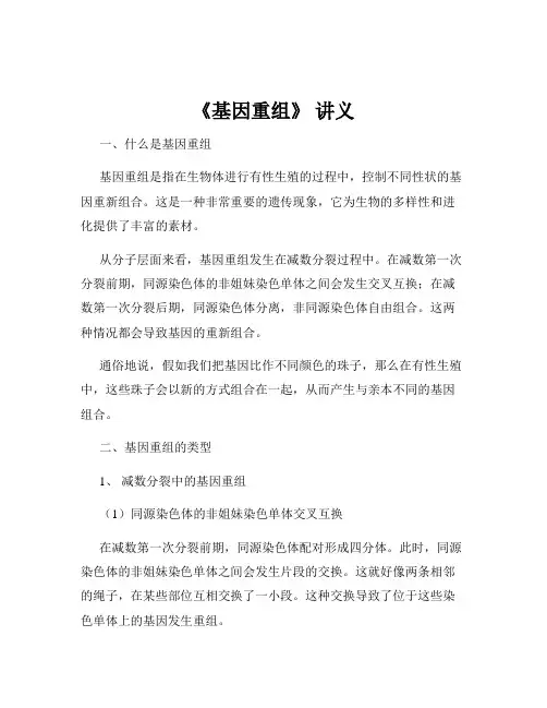 《基因重组》 讲义