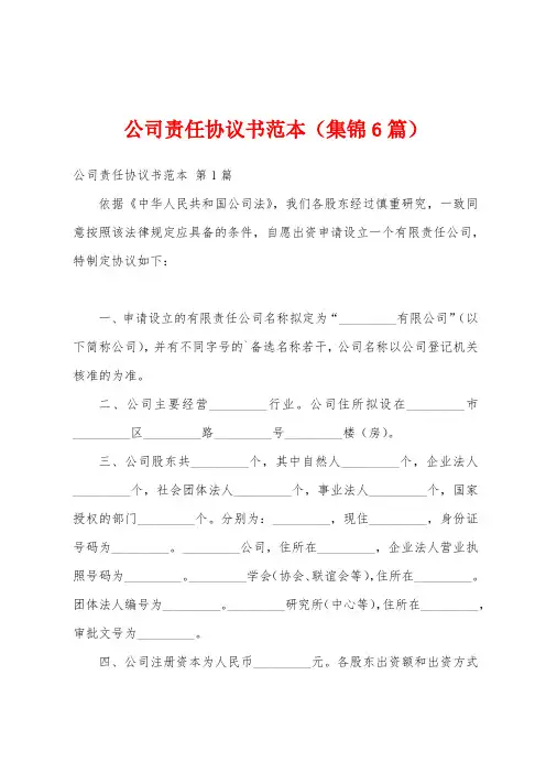 公司责任协议书范本(集锦6篇)