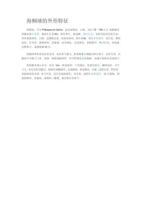 海桐球的外形特征