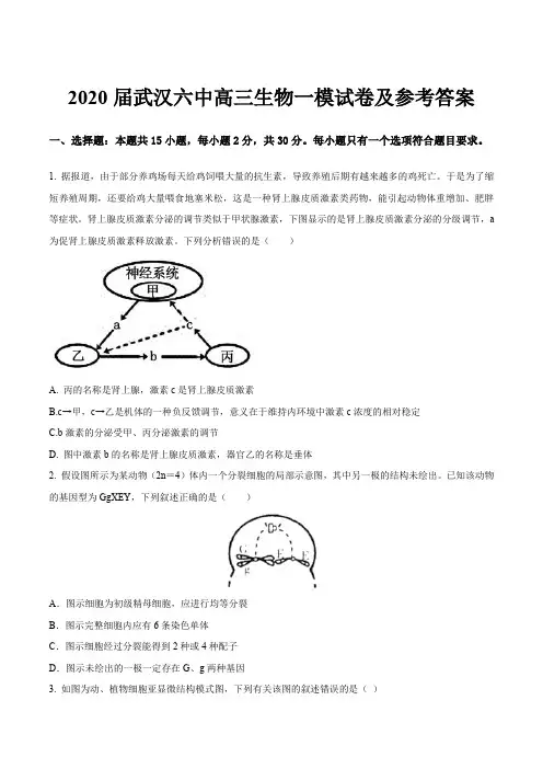 2020届武汉六中高三生物一模试卷及参考答案