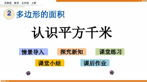 新苏教版数学五年级上册2.6 认识平方千米-课件