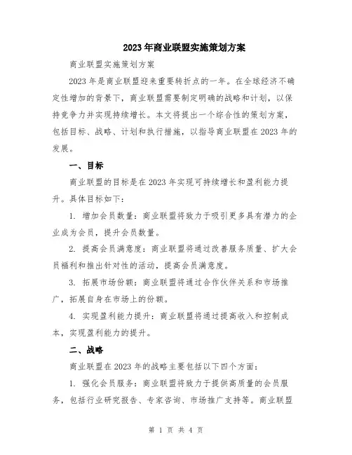 2023年商业联盟实施策划方案