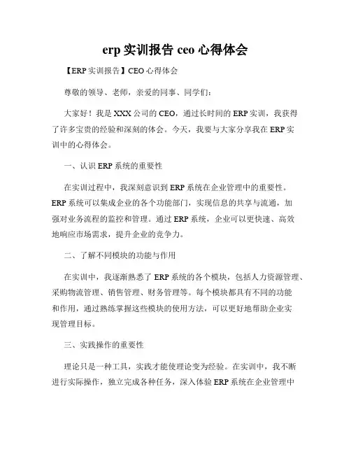 erp实训报告ceo心得体会