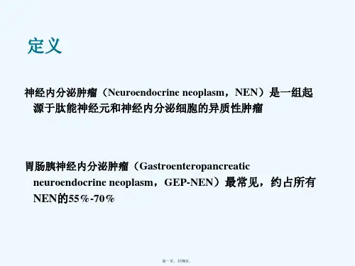 中国胃肠胰神经内分泌肿瘤病理学诊断共识