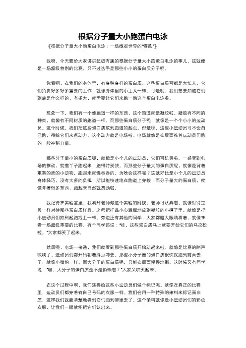 根据分子量大小跑蛋白电泳