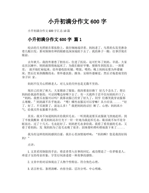 小升初满分作文600字