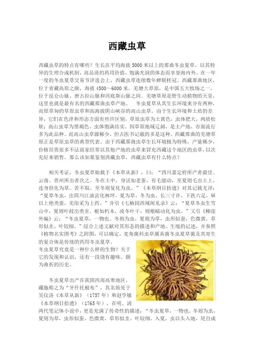 西藏虫草