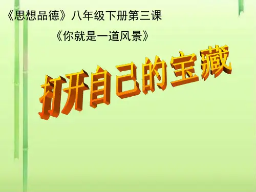 打开自己的宝藏ppt优秀课件1 人民版