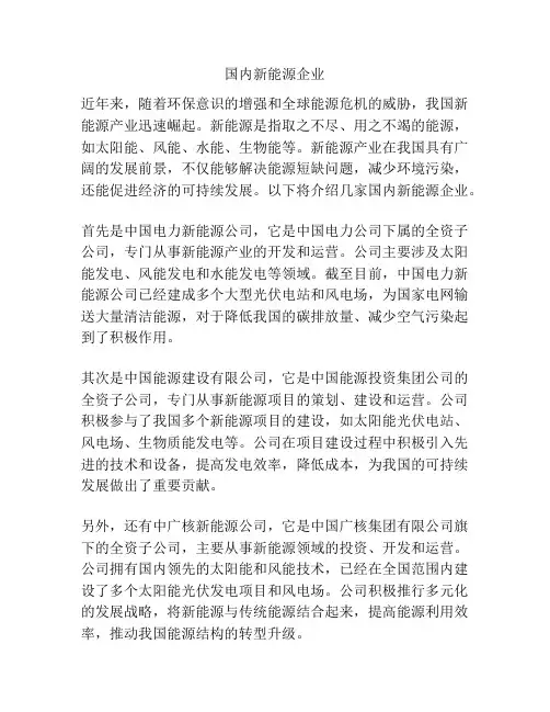 国内新能源企业