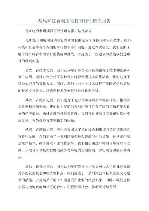 某尾矿综合利用项目可行性研究报告