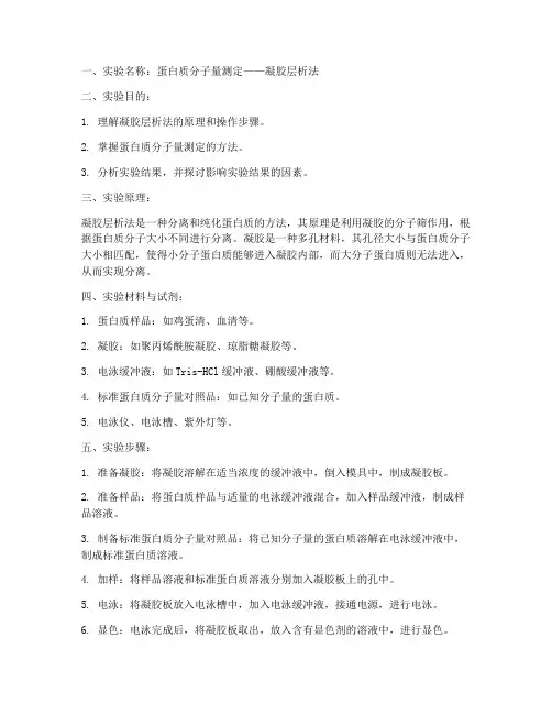 生物化学实训课实验报告