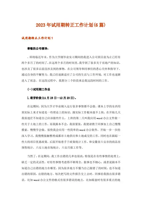 2023年试用期转正工作计划(6篇)