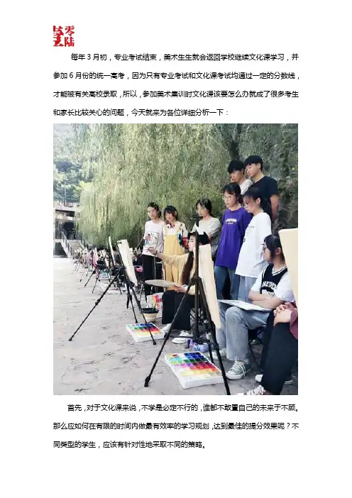美术集训文化课怎么办