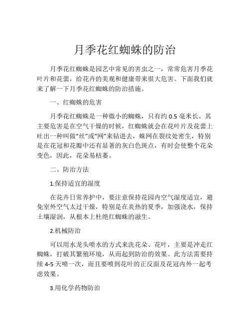 月季花红蜘蛛的防治