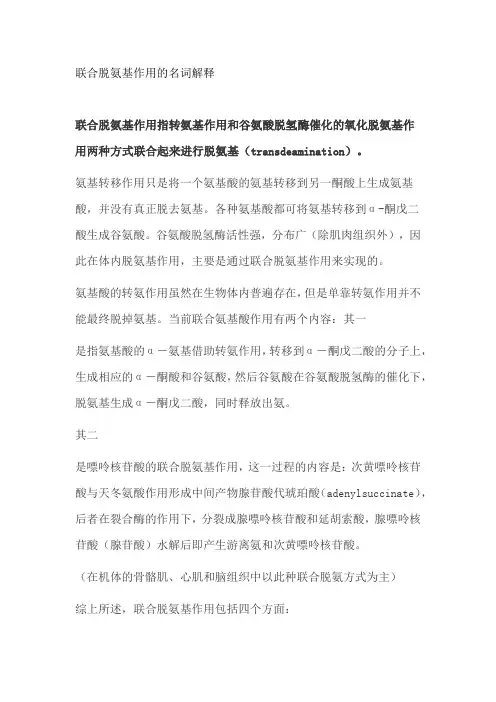 联合脱氨基作用的名词解释