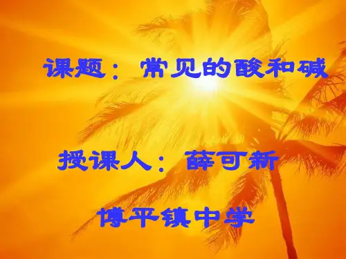 《常见的酸和碱》PPT课件 (公开课专用)2022年沪教版 (2)