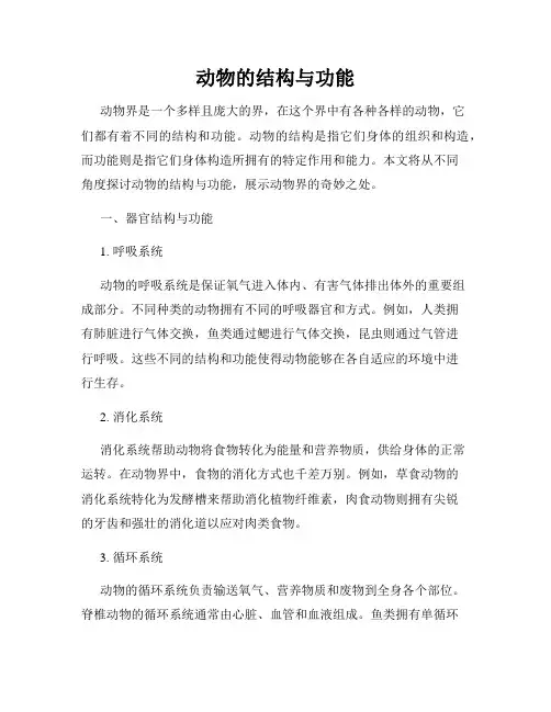 动物的结构与功能