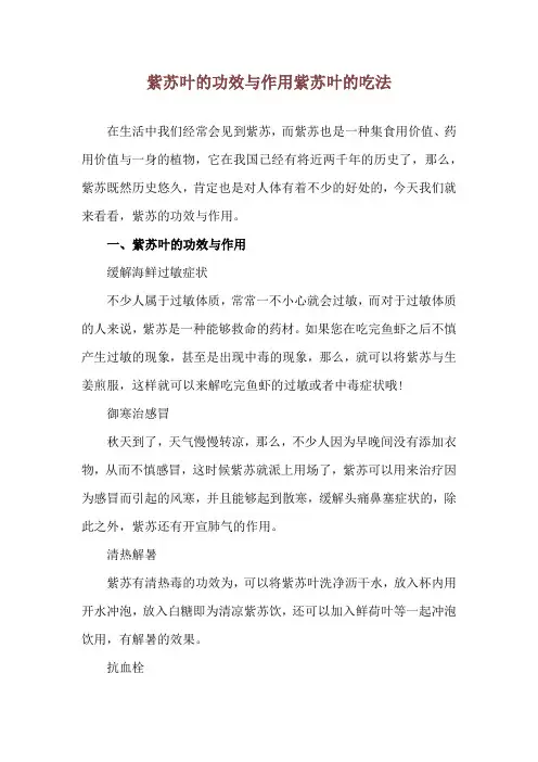 紫苏叶的功效与作用 紫苏叶的吃法