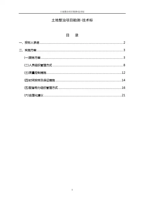 土地整治项目勘测-技术标