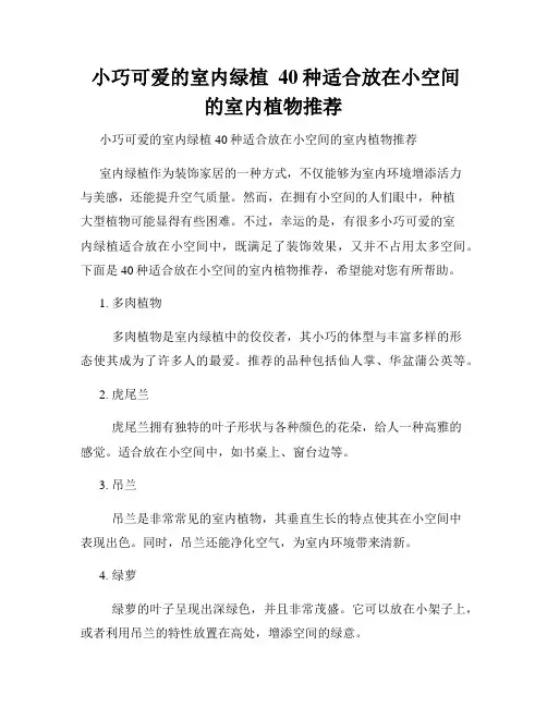  小巧可爱的室内绿植  40种适合放在小空间的室内植物推荐