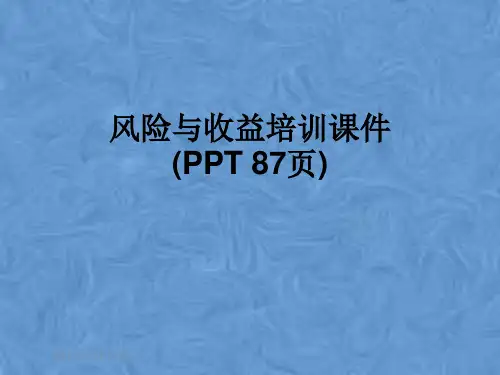 风险与收益培训课件(PPT 87页)