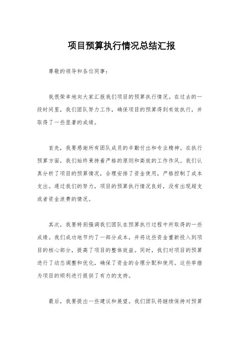 项目预算执行情况总结汇报