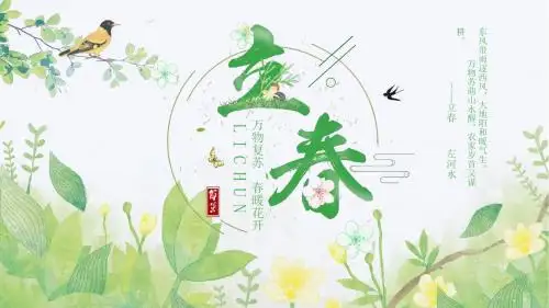 绿色小清新传统节气立春PPT模板 (2)