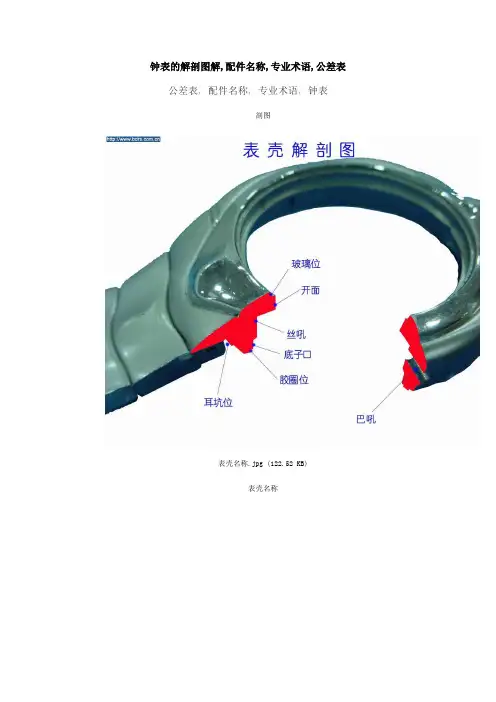 钟表的解剖图解