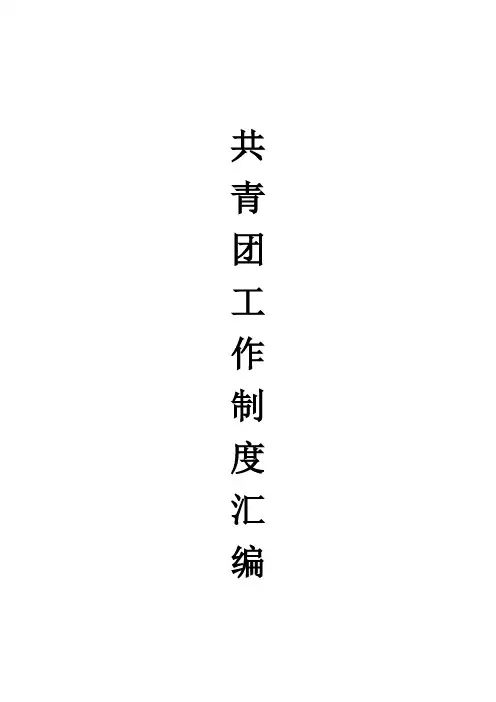 团委工作制度汇编