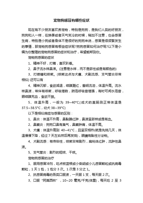 宠物狗感冒有哪些症状