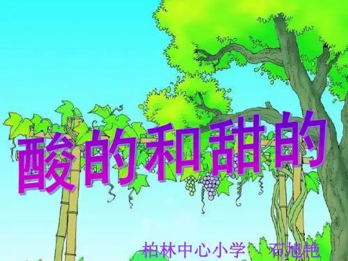 《酸的和甜的》