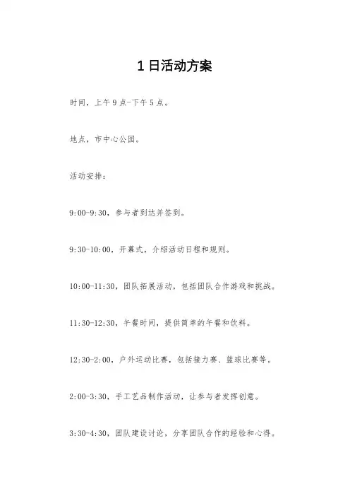 1日活动方案