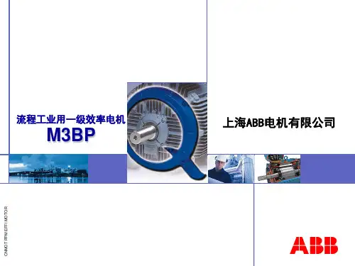M3BP-流程工业一级效率电机
