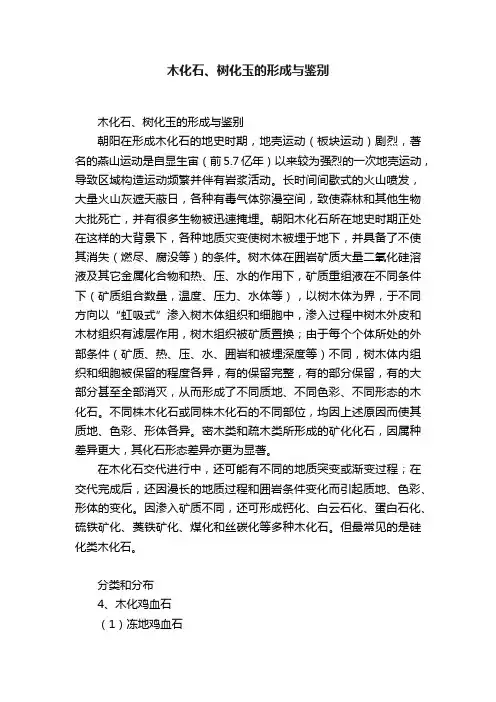木化石、树化玉的形成与鉴别