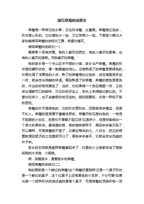 描写草莓的说明文