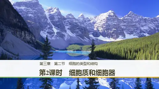 高中生物苏教版必修一课件：3.2.2 细胞质和细胞器