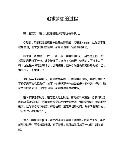 追求梦想的过程