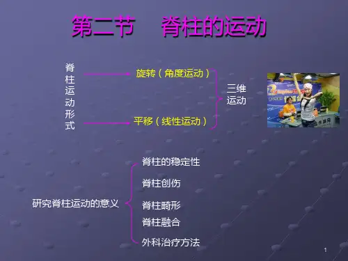 脊柱的运动PPT课件