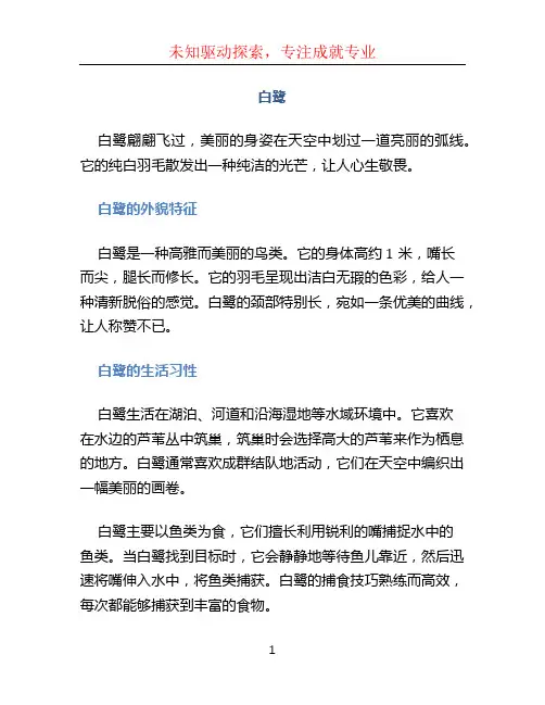 《白鹭》课文原文