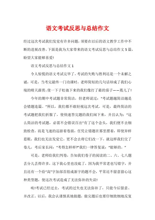 语文考试反思与总结作文