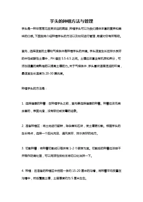 芋头的种植方法与管理
