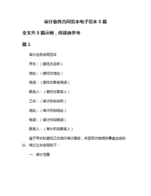 审计业务合同范本电子范本5篇
