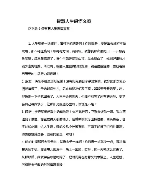 智慧人生感悟文案