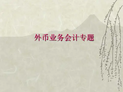 外币业务会计专题